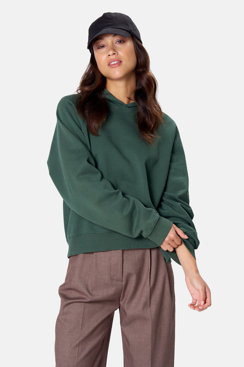 Sweat à capuche - vert
