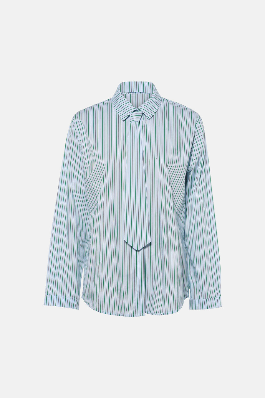 Chemise bleue de Terra di Siena à rayures verticales, manches longues et coupe décontractée.