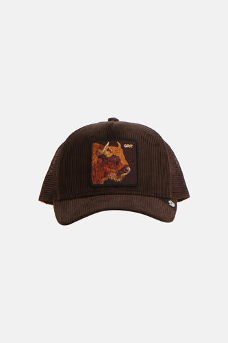 Casquette - brun