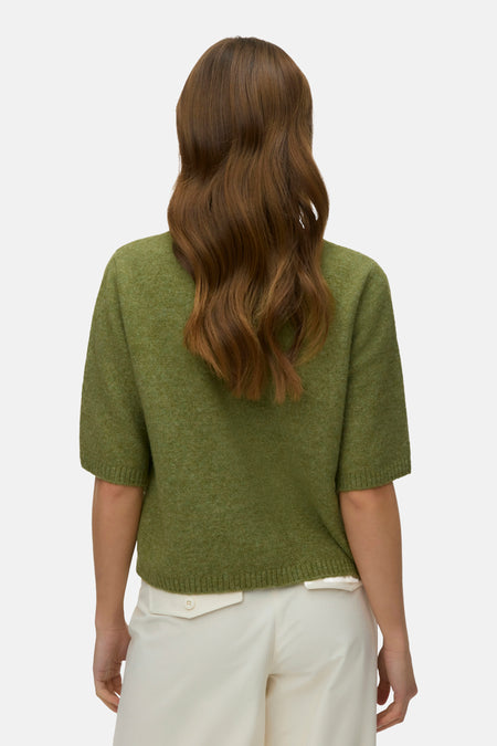 Pull col O - Sphagnum