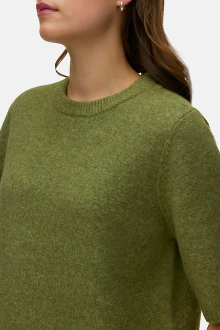 Pull col O - Sphagnum