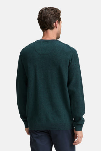 Sweat-shirt Turkooizen avec col rond de TOM TAILOR, vu de l'arrière, avec une subtile texture.