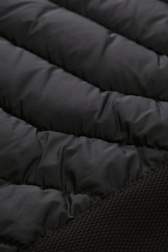 Veste courte - noir - TOM TAILOR