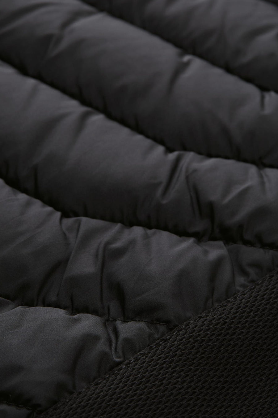 Veste courte - noir - TOM TAILOR