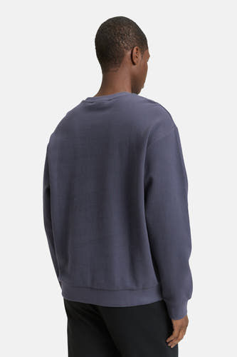 Pull-over bleu avec col rond de TOM TAILOR, en tissage tricoté, vu de derrière.