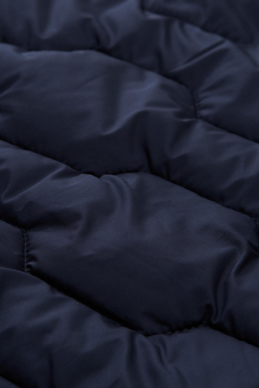 Veste courte bleu - TOM TAILOR - TOM TAILOR - 2