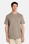 T-shirt (manches courtes) brun - TOM TAILOR