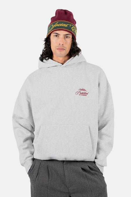 Sweat à capuche - gris