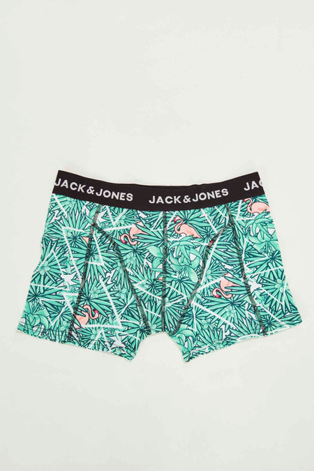 Boxers - vert
