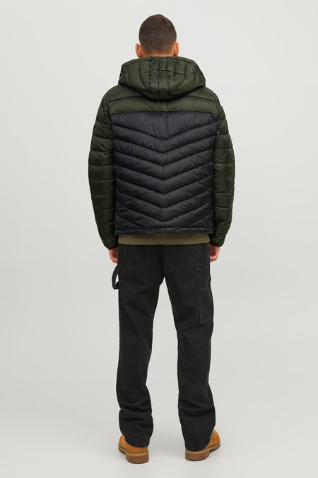 Veste - vert
