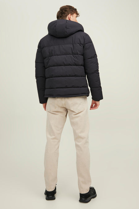 Veste courte Noir - ORIGINALS BY JACK & JONES