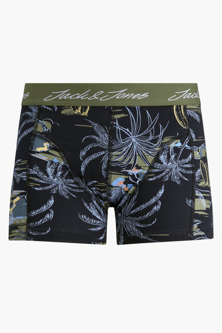 Boxers - vert