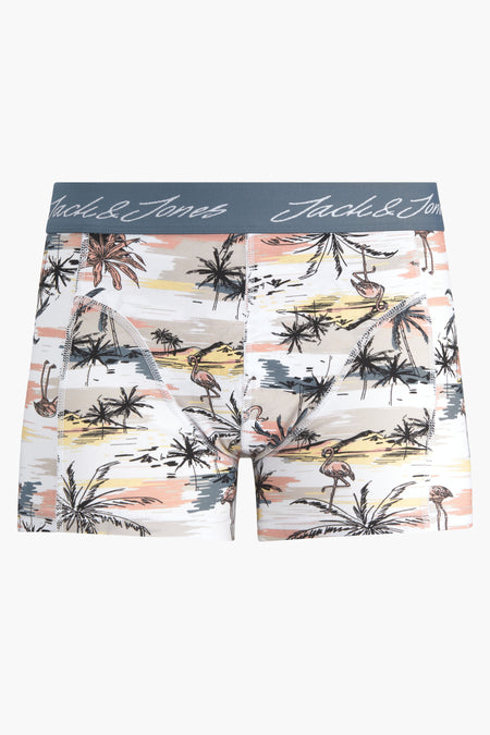 Boxer Multicolore - ACCESSORIES BY JACK & JONES