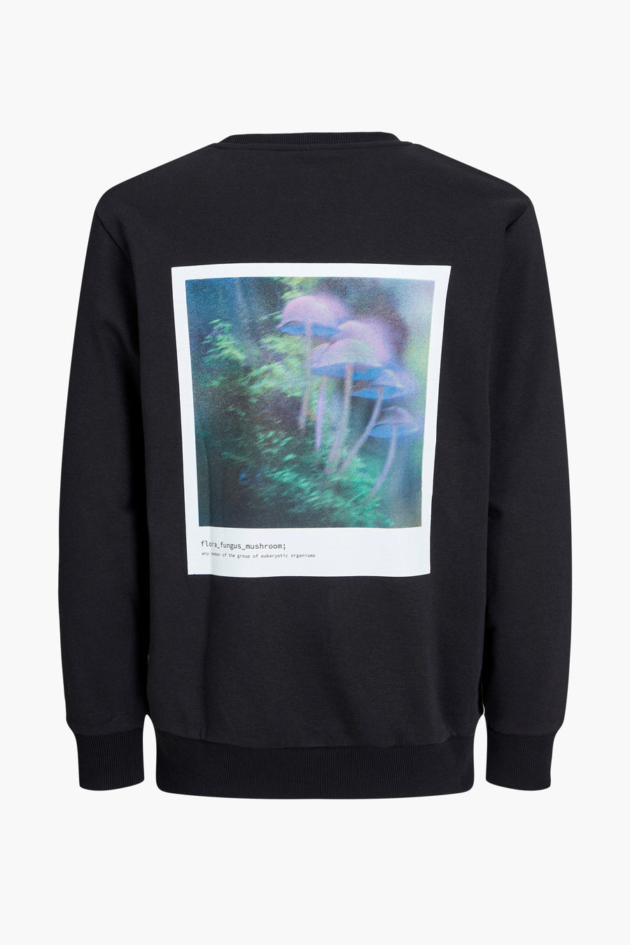 JCOEDITION SWEAT CREW NECK GC - CORE BY JACK & JONES