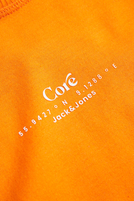 JCOAUSTIN PHOTO TEE SS CREW NECK