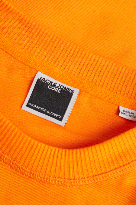 JCOAUSTIN PHOTO TEE SS CREW NECK