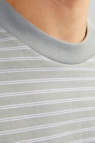 Close-up: lichtgrijs gestreept T-shirt, ronde hals.