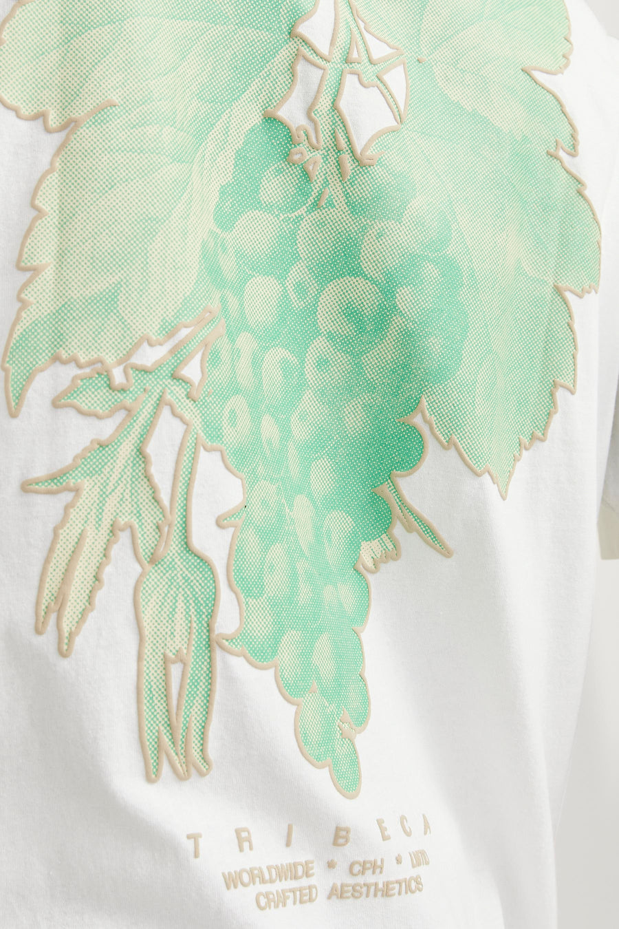 Wit T-shirt met groene druivenprint en beige details.