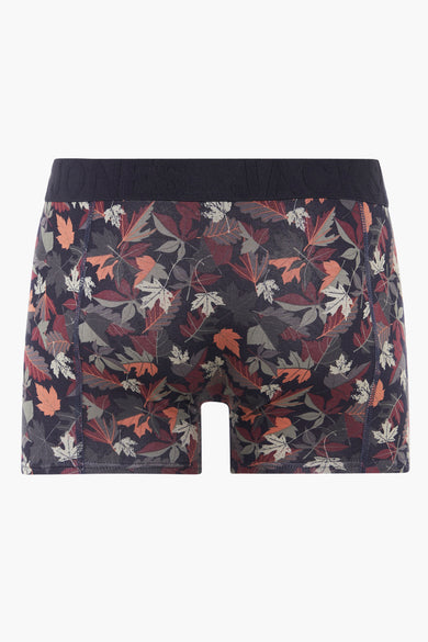 Boxers - multicolore