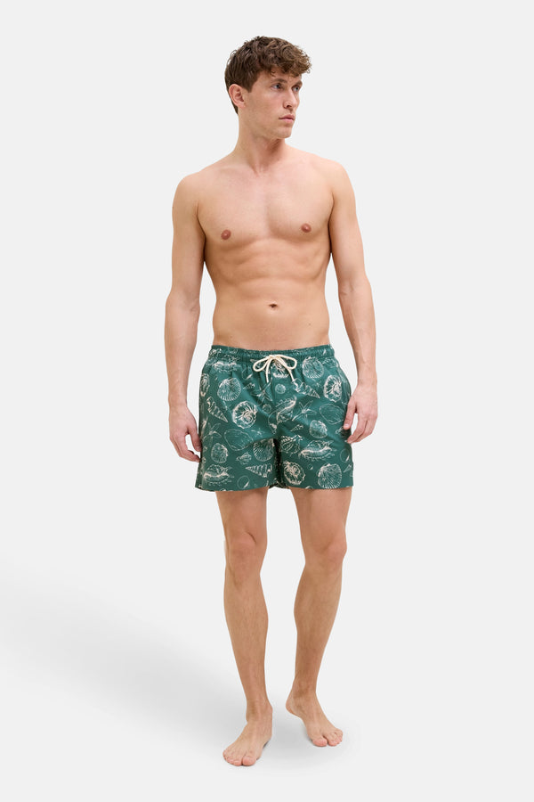 	Heren tops beachwear zwemshort Vert - JACK & JONES JEANS INTELLIGENCE