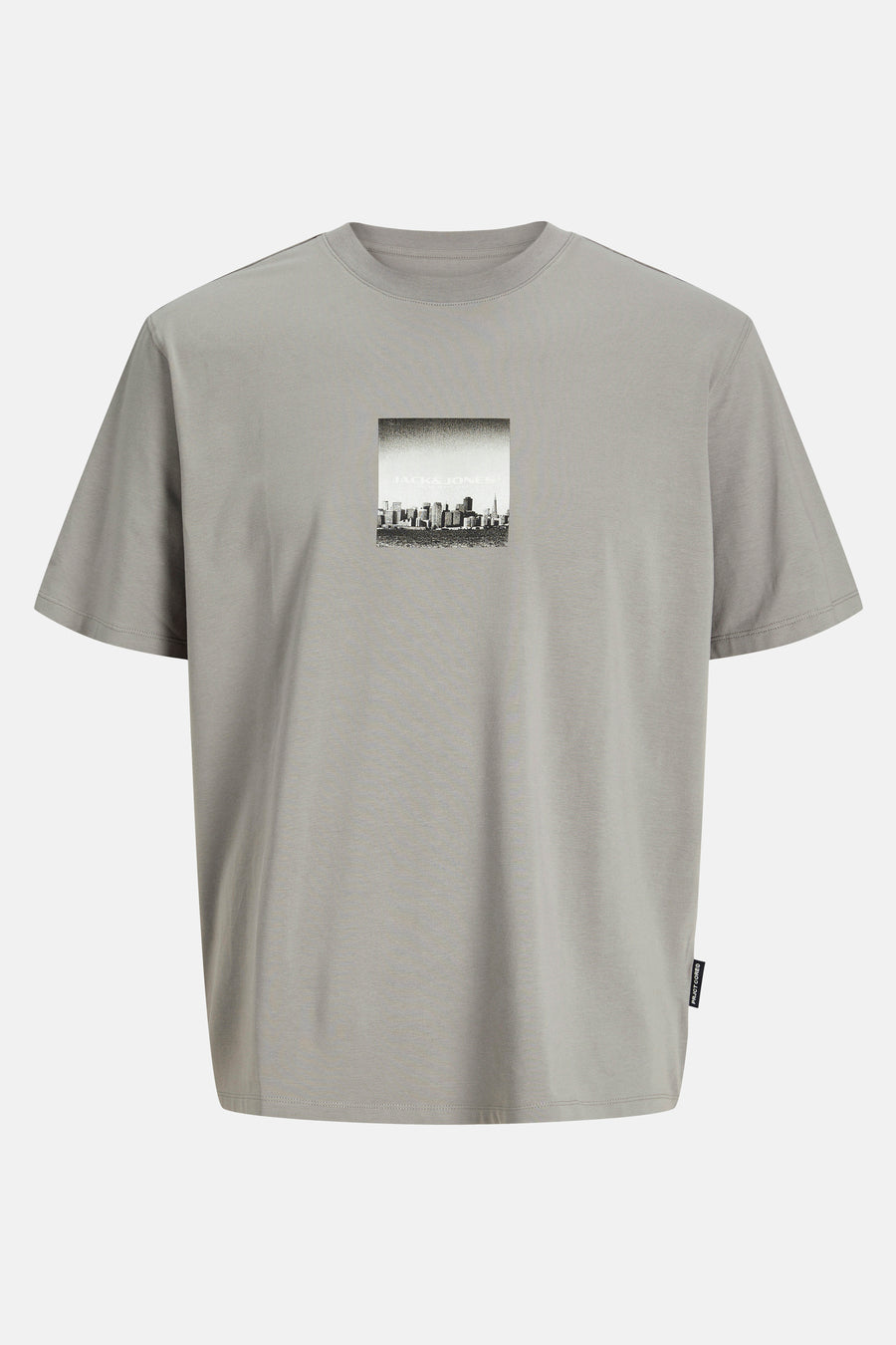 12273775_GRAY FLANNEL