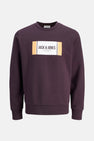 JJHAYATO SWEAT CREW NECK BTS LN