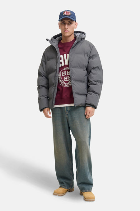 Veste en cuir - gris