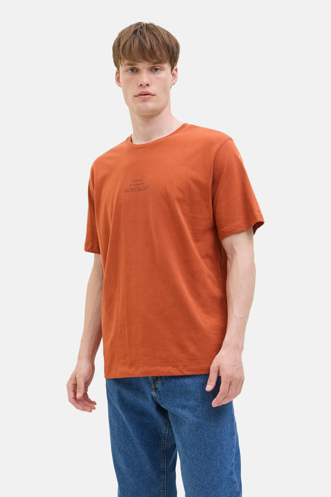 T-shirt à manches courtes - brun