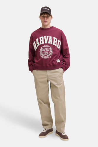 Beige chino de JACK & JONES JEANS INTELLIGENCE, associé à un pull Harvard rouge bordeaux et des chaussures marron.