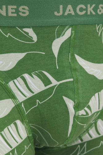 Boxers - vert