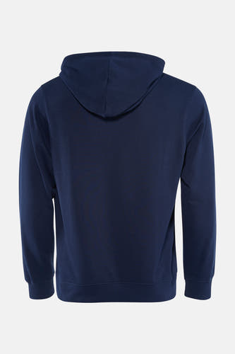 Pull-over bleu avec capuche d'ORIGINALS BY JACK & JONES, vu de dos.