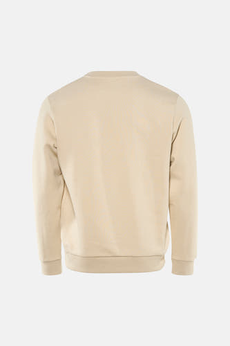 Beige sweater van CORE BY JACK & JONES, gezien van achteren, met lange mouwen en een ronde hals.
