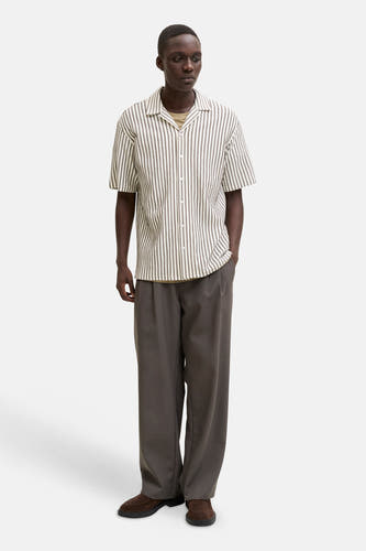 Bruin gestreept korte mouwen overhemd van PREMIUM by JACK & JONES, met open kraag en lichte textuur, gedragen met donkere broek en bruine schoenen, front view.