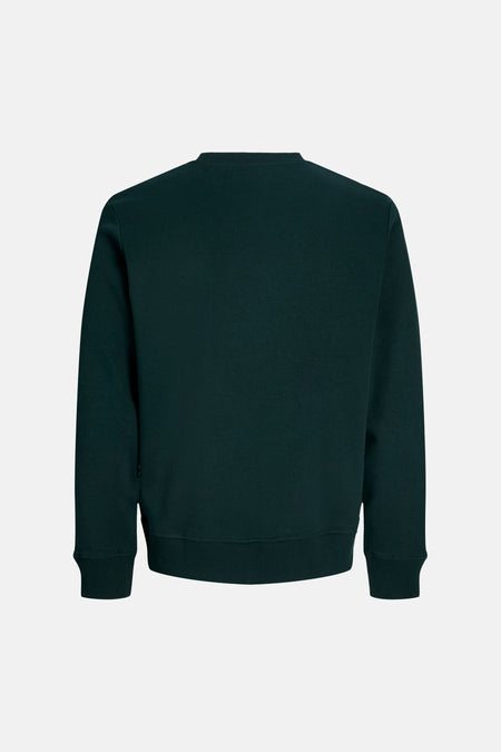 Sweat col O - vert