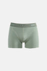 Boxers - Vert