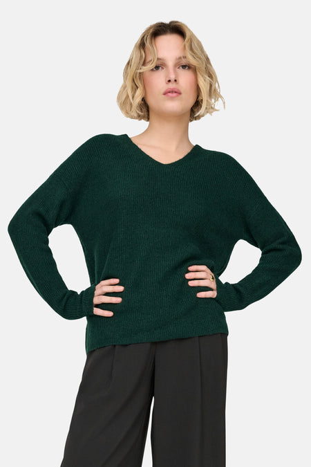 Pull col V - Scarab