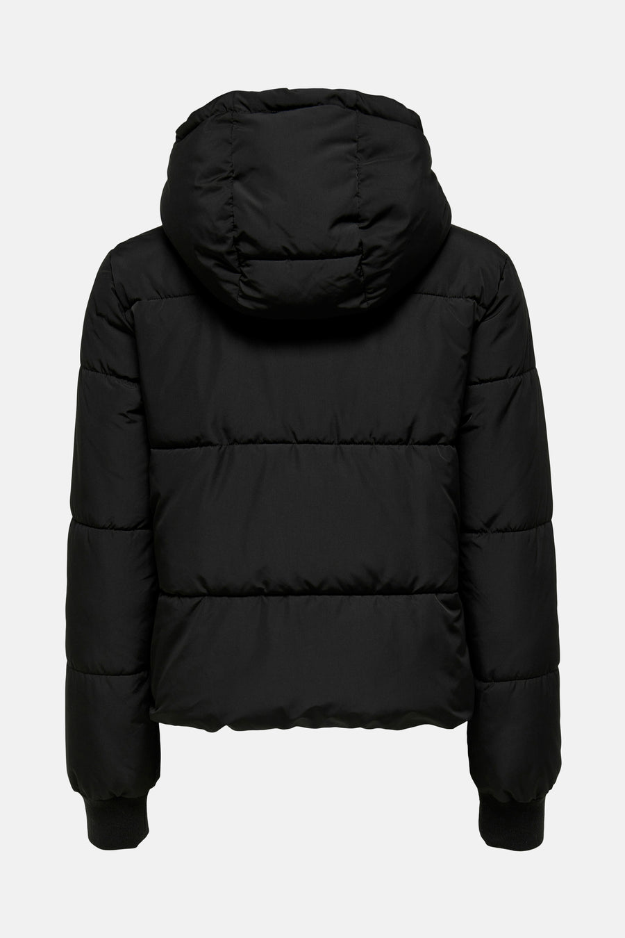 Manteau doublé de coton noir avec capuchon, dos.