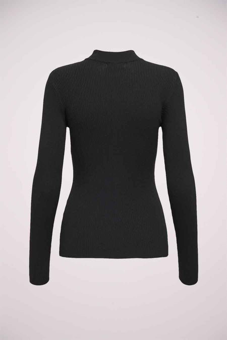 JDYNEWMARYAN L/S HIGHNECK PULL. KNT NOOS