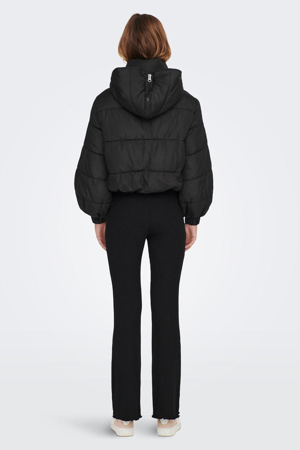 Veste courte Noir - JDY