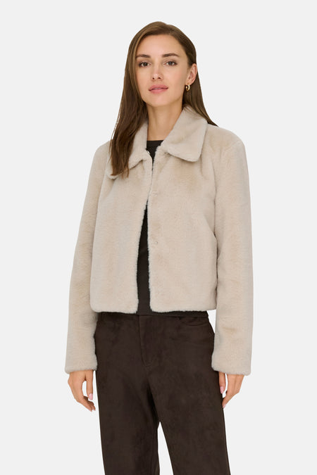 Veste - Moonbeam