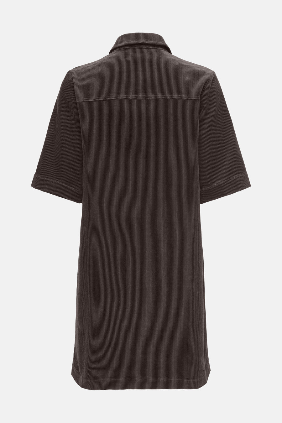 Robes manches courtes brun - JDY