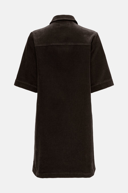 Robes manches courtes brun - JDY