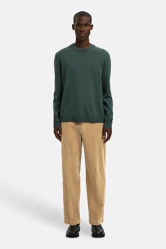 Pantalon brun de SELECTED, fabriqué en corduroy, associé à une chemise verte et des chaussures noires.