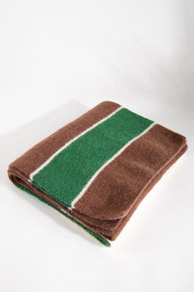 Écharpe d'hiver multicolore de 24 couleurs, avec un motif rayé en brun, vert et blanc.