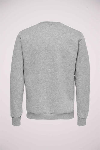 Pull gris, dos.