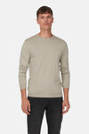 ONSWYLER LIFE REG 14 LS CREW KNIT NOOS