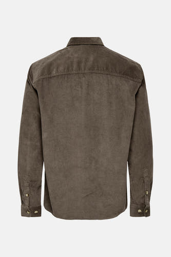 Chemise en corduroy marron de ONLY & SONS, à longues manches, vue arrière.