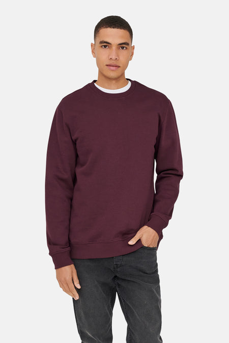 ONSCONNOR REG CREW NECK SWEAT NOOS