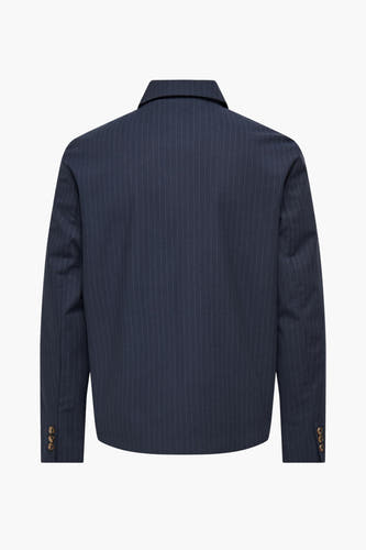 Korte blauwe jas van ONLY & SONS® met krijtstreep patroon, gezien van de achterkant.