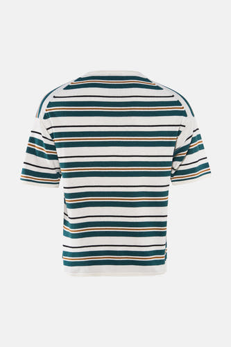 T-shirt rayé multicolore ONLY & SONS® avec rayures blanches, vert foncé, marron et noires, vue arrière.